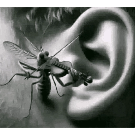 Figurinha: Mosquito violinista