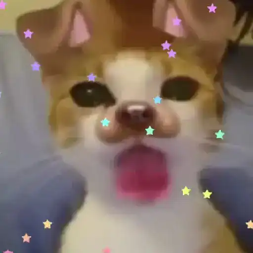 Sticker: Kitten with dog filter