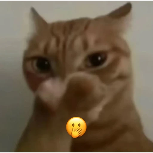 Sticker: Gato haciendo silencio