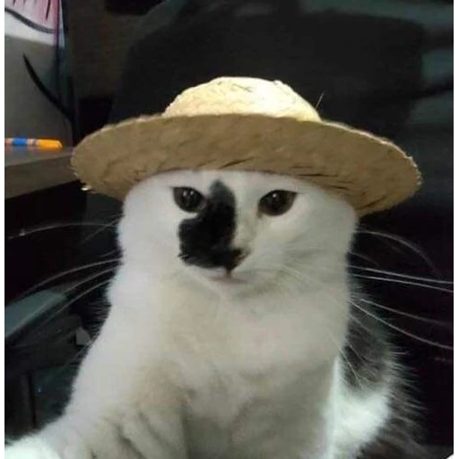 Figurinha: Gato com chapéu de palha