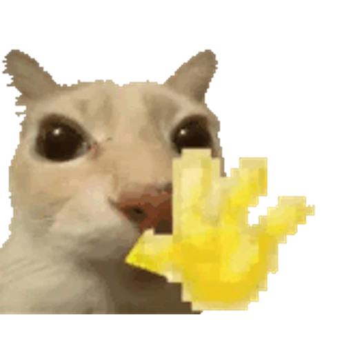 Sticker: Gato con mano amarilla