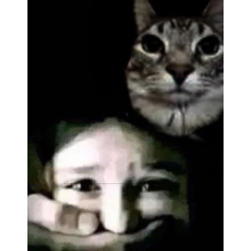 Sticker: Gato aterrador