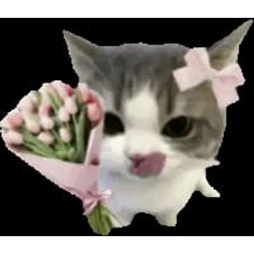 Figurinha: Gatinho com flores