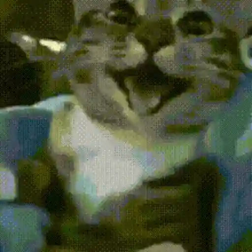 Figurinha: Gato Sorridente