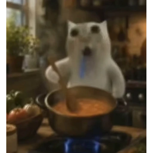 Figurinha: Gato cozinhando