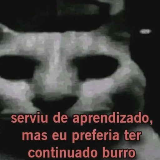 Figurinha: Serviu de aprendizado