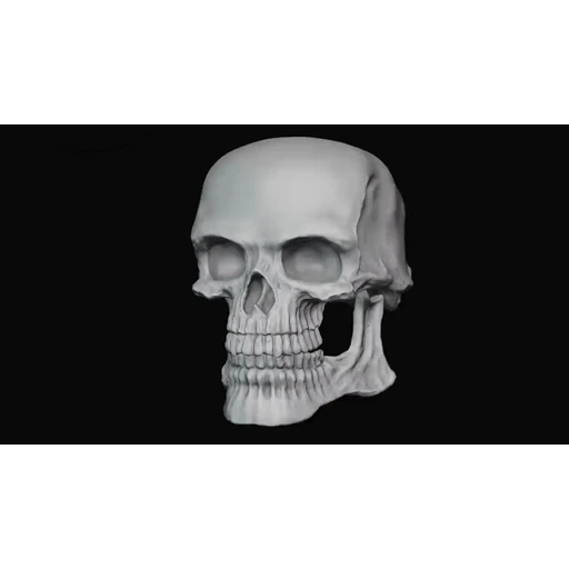 Figurinha: Caveira com Efeito Glitch