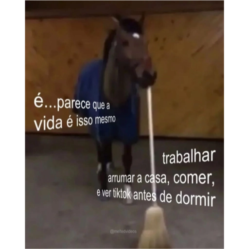 Figurinha: A rotina da vida