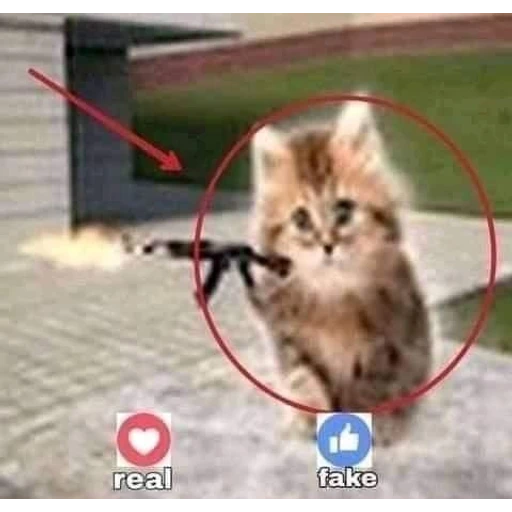 Figurinha: Gatinho com arma
