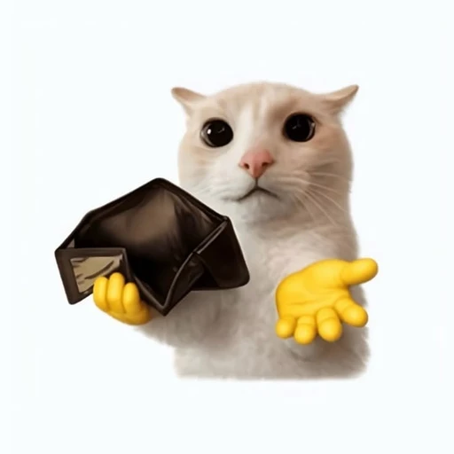 Figurinha: Gato sem dinheiro