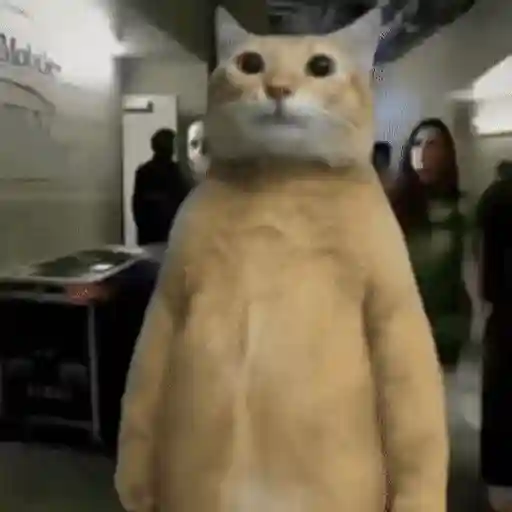 Sticker: Gato caminando meme