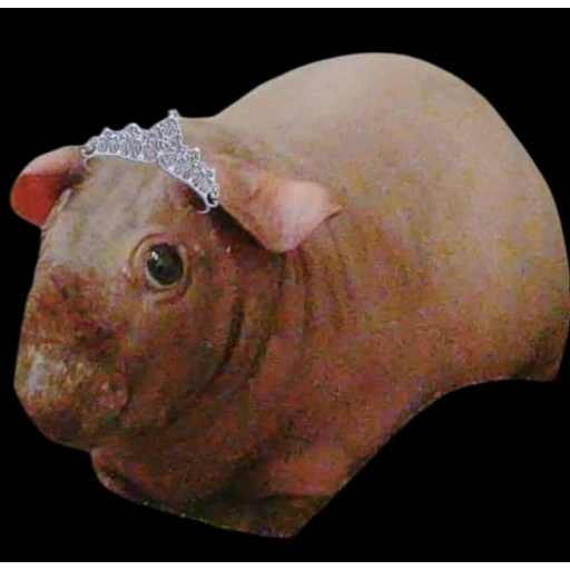Sticker: Cuyo real