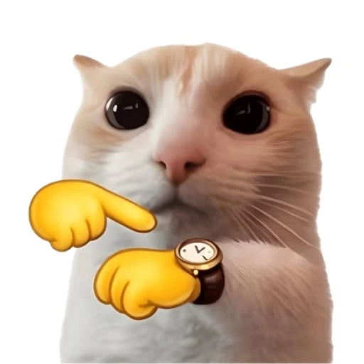 Sticker: Curious cat pointing at clock