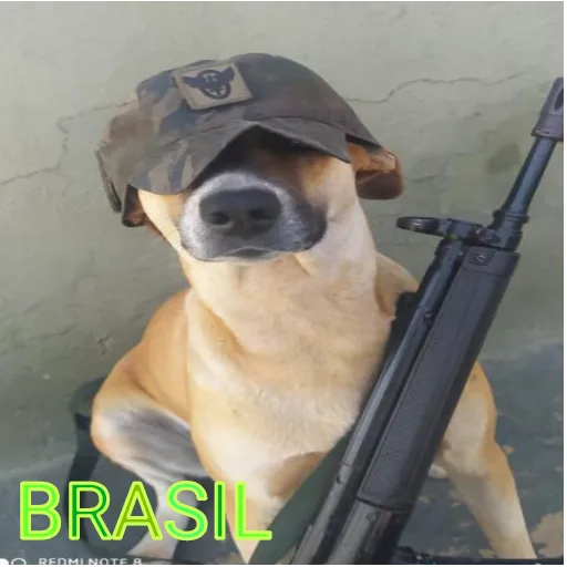 Sticker: Perro Brasil