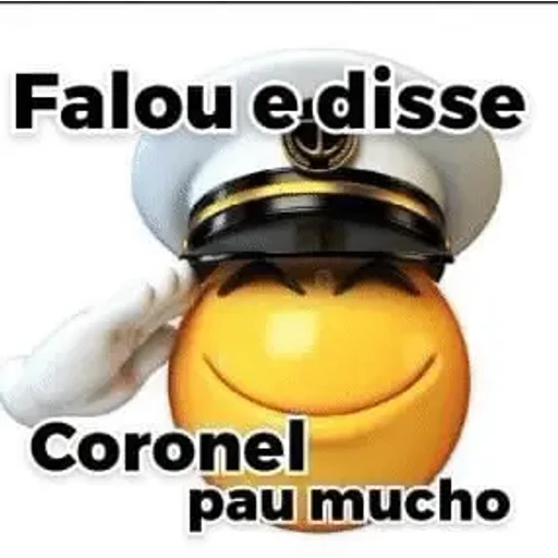 Sticker: Entendido Coronel