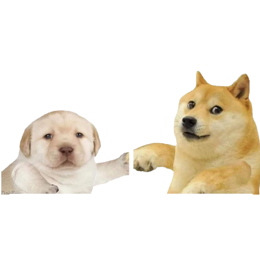 Sticker: Doge y cachorro saludando