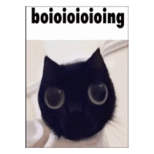 Sticker: Gato boioioioioing