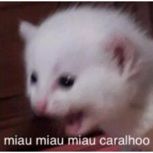 Sticker: Miau miau miau