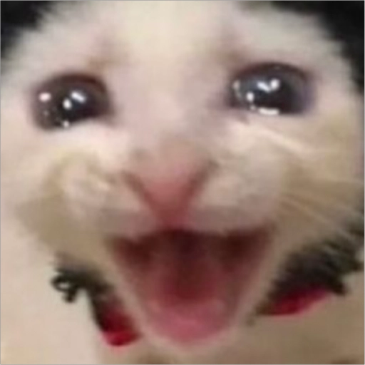 Figurinha: Gato chorando feliz