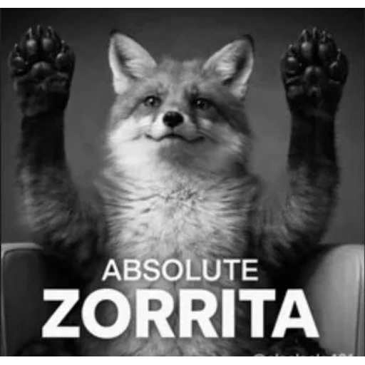 Figurinha: Absolute Zorrita