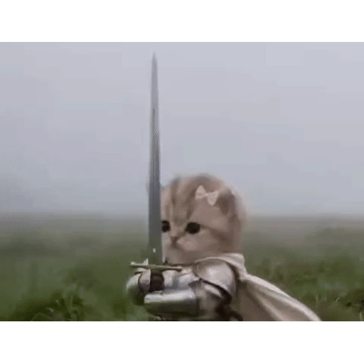 Figurinha: Gatinho Guerreiro