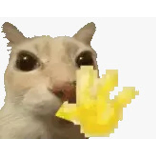 Sticker: Gato comiendo papas fritas