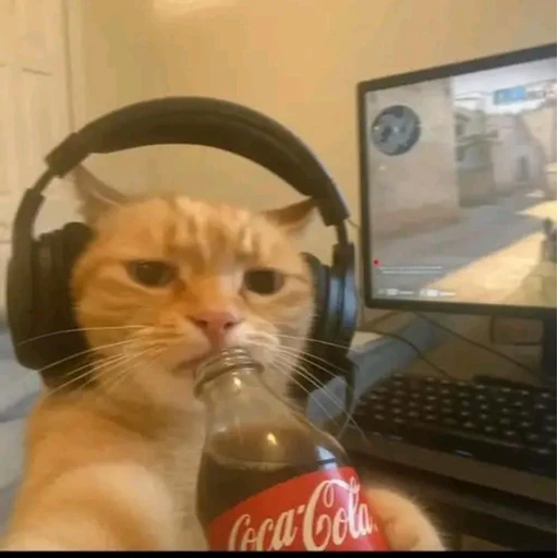 Figurinha: Gato Gamer Bebendo Coca