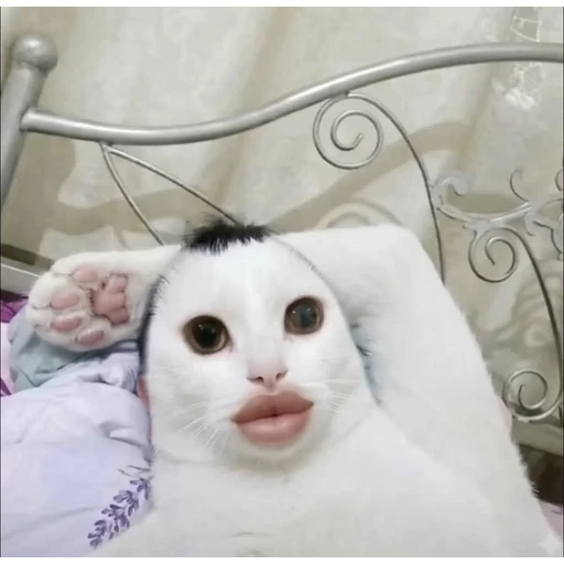 Figurinha: Gato com batom e orelhas de coelho