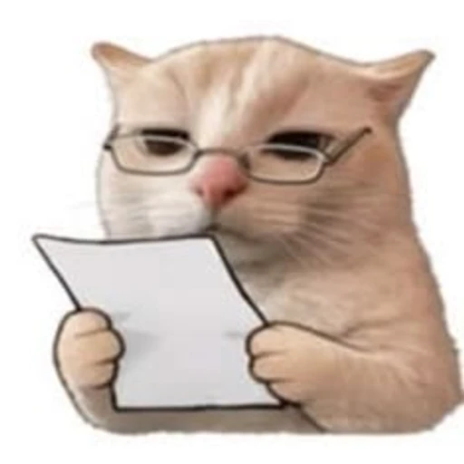 Sticker: Gato estudioso leyendo