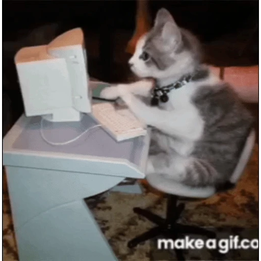 Sticker: Gatito programador