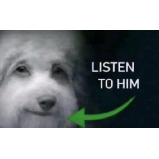 Figurinha: Listen to him