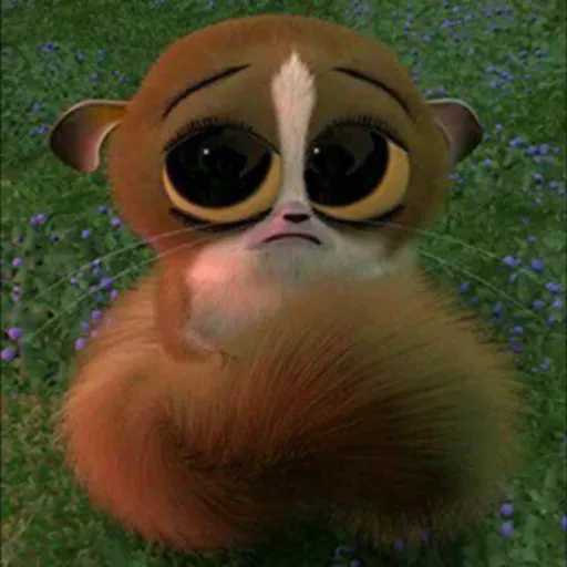 Sticker: Mort de Madagascar
