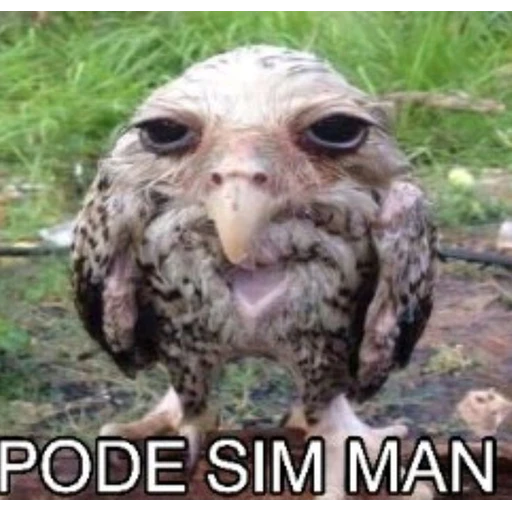 Sticker: Eso sí se puede, amigo