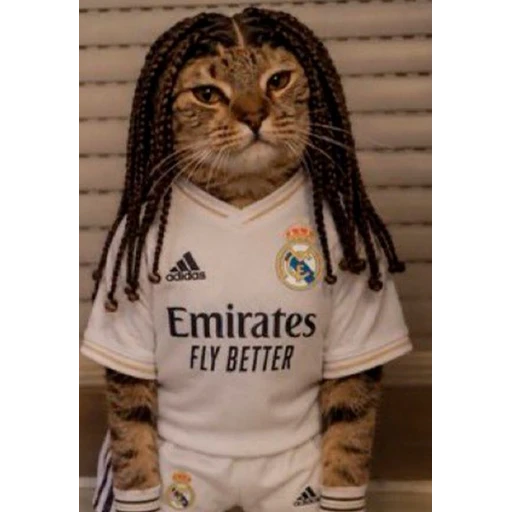 Figurinha: Gato Real Madrid