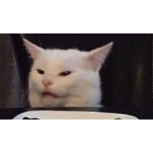 Figurinha: Gato confuso no jantar