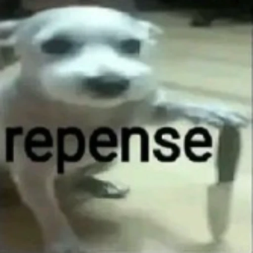 Figurinha: Cachorro repense
