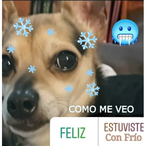 Sticker: Perrito con frío