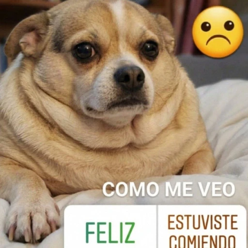 Figurinha: Cachorrinho triste