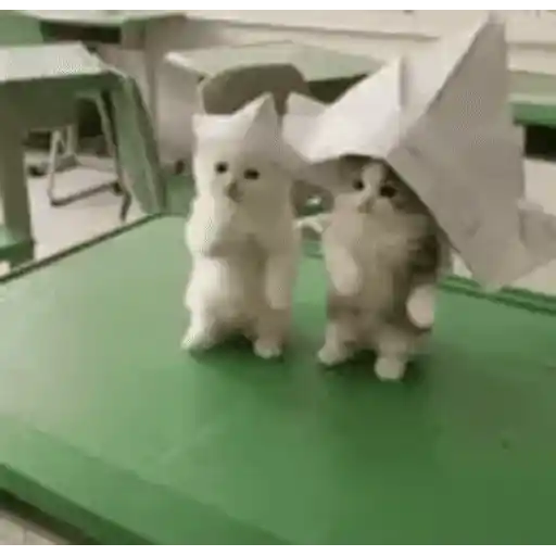 Sticker: Gatitos con gorro de papel