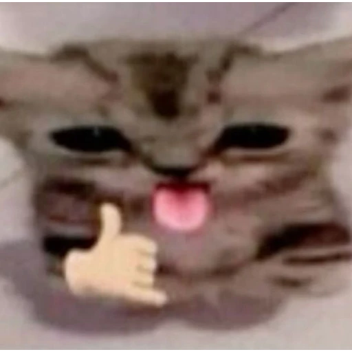 Figurinha: Gatinho com like e língua para fora