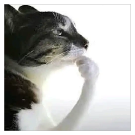 Figurinha: Gato pensativo