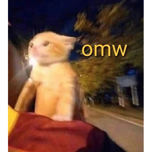 Figurinha: Gatinho OMW
