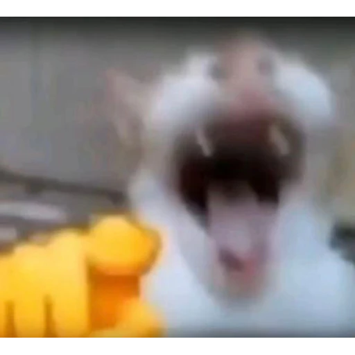 Figurinha: Cachorro na fantasia de leão