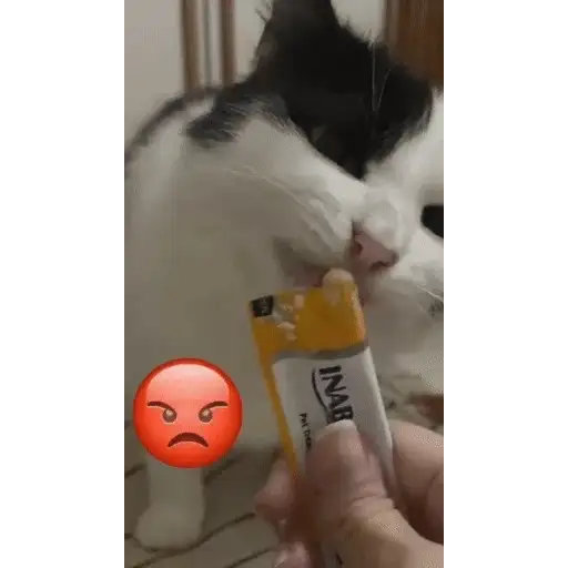 Sticker: Kitten eating a treat
