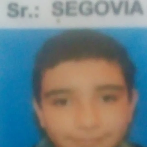 Figurinha: Sr. Segovia