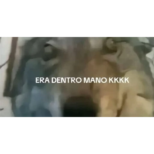 Figurinha: Era Dentro Mano Kkkk