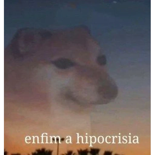 Figurinha: Cachorro com a frase "enfim a hipocrisia