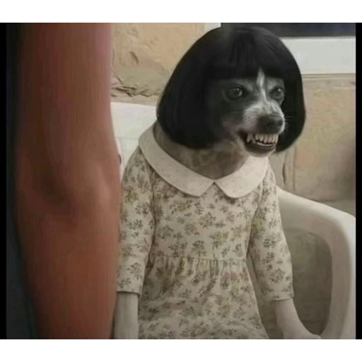 Figurinha: Cachorro com peruca e vestido