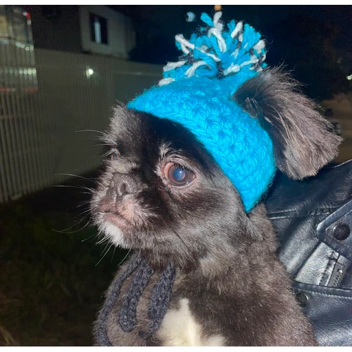 Figurinha: Cachorrinho de touca
