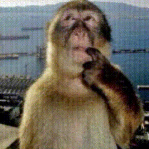Figurinha: Macaco pensativo